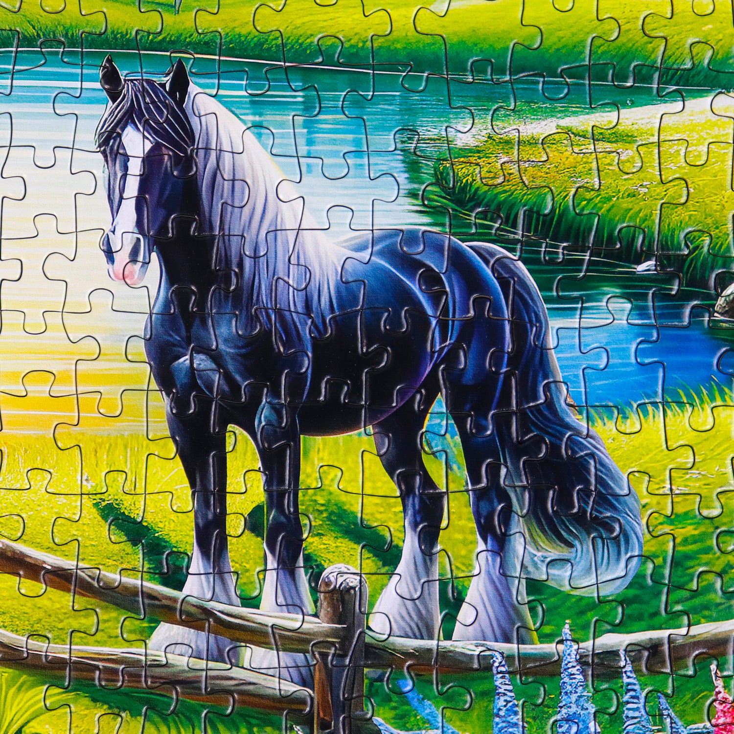 Puzzle -  MAJESTIC BLACK BEAUTY