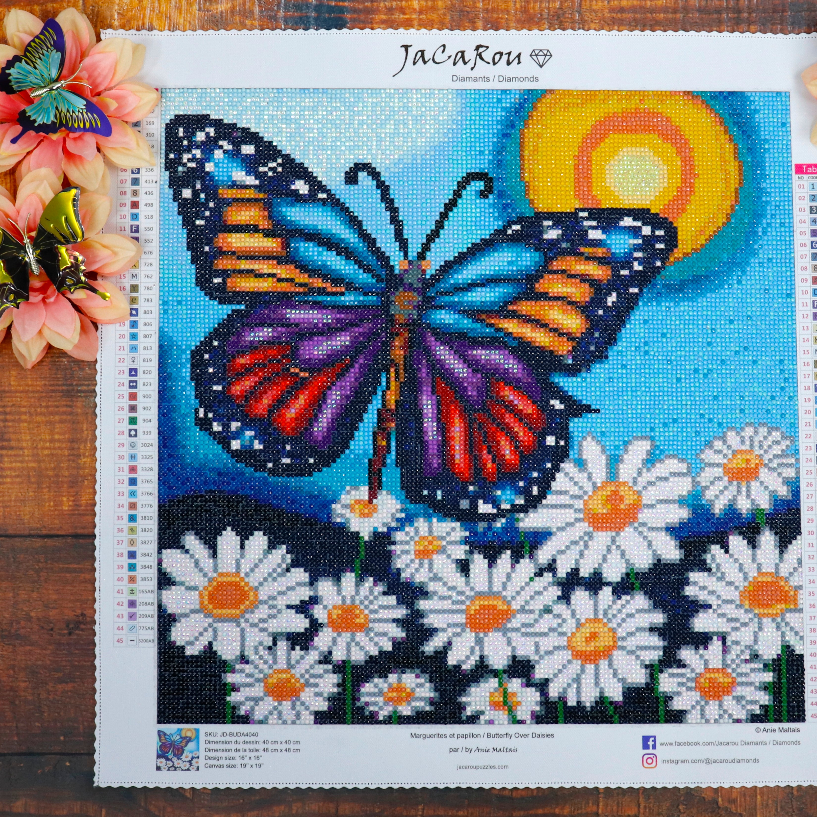 Broderie de diamants RONDS - MARGUERITES ET PAPILLON