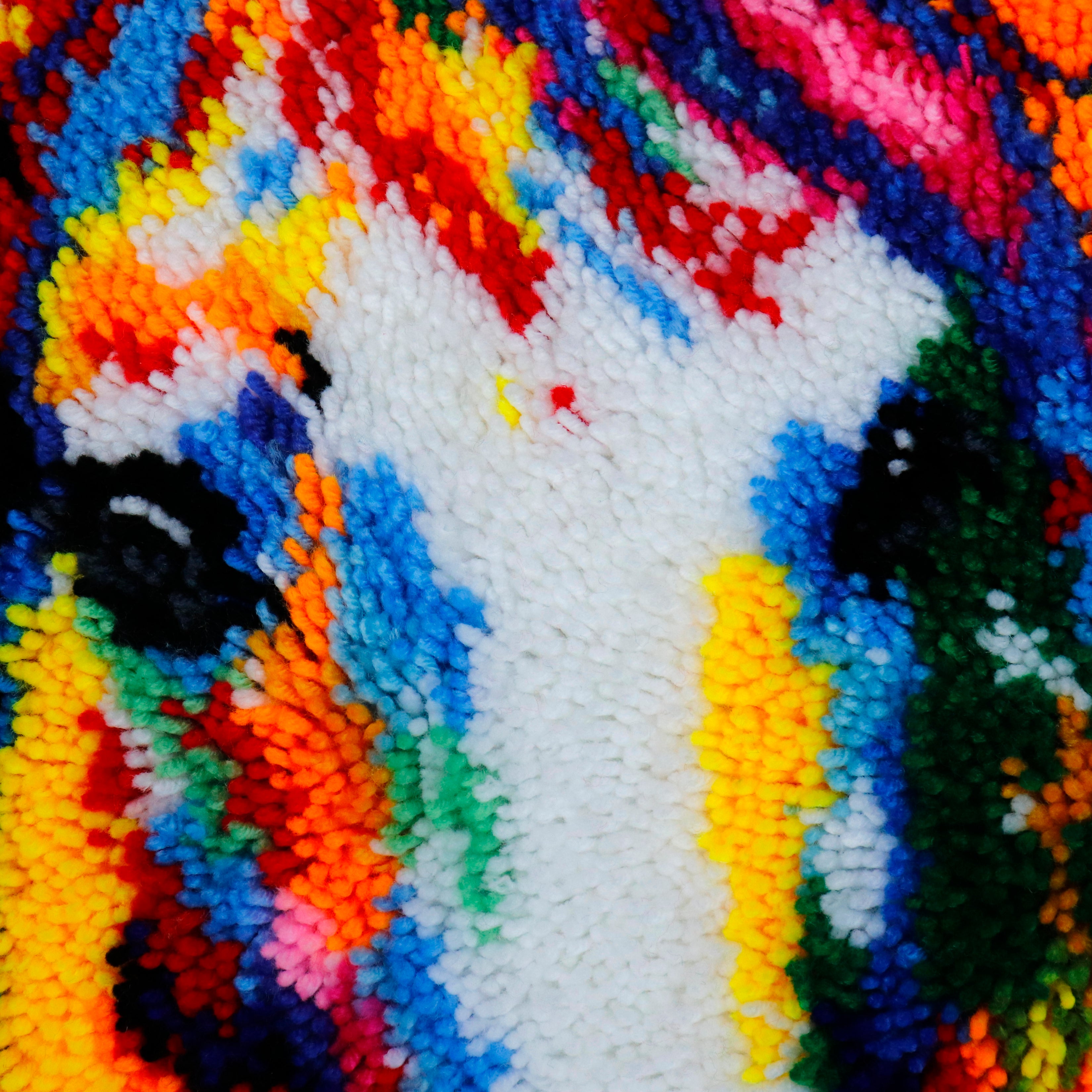 Latch Hook - Large Rug Kit - HORSE