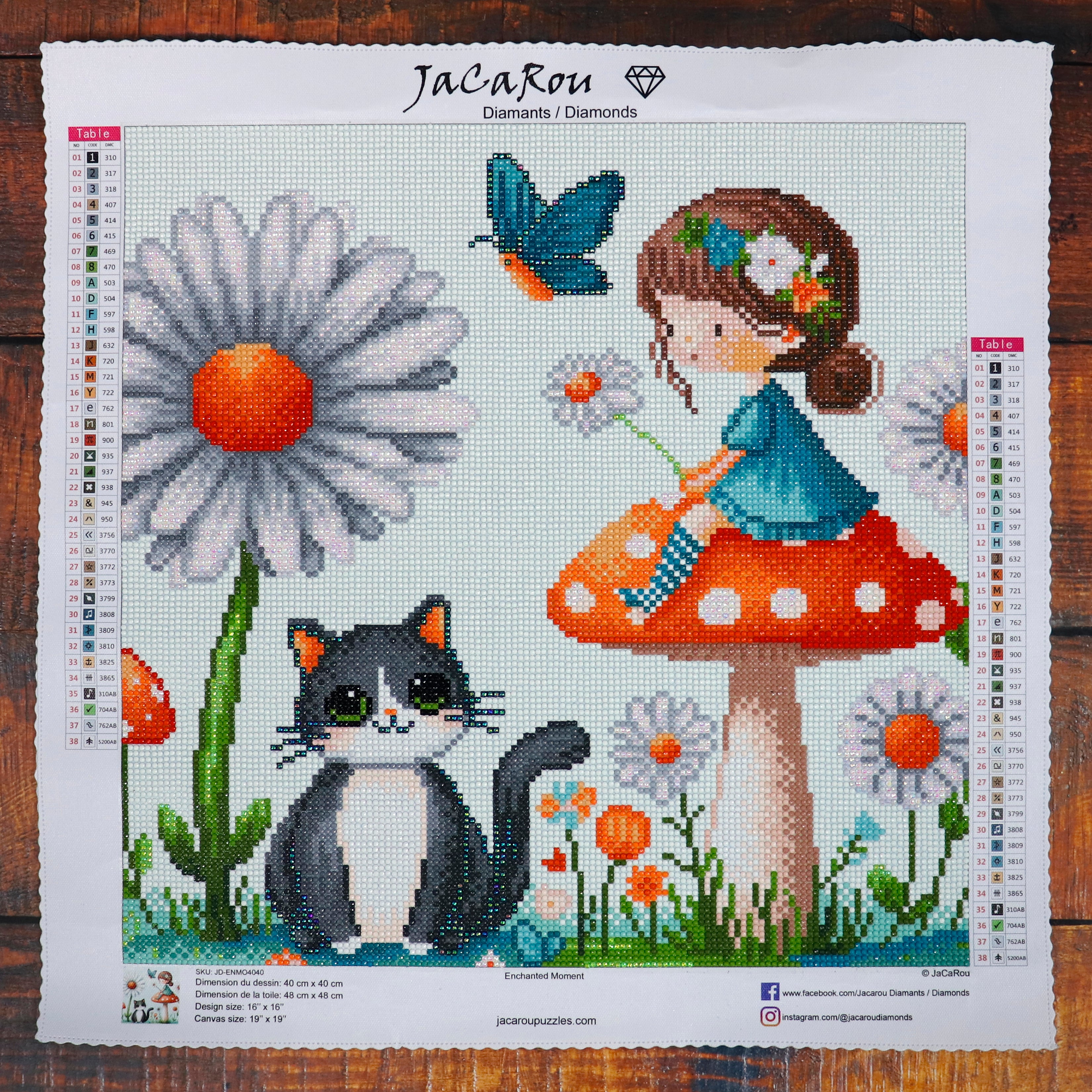 Broderie de diamant RONDS - ENCHANTED MOMENT