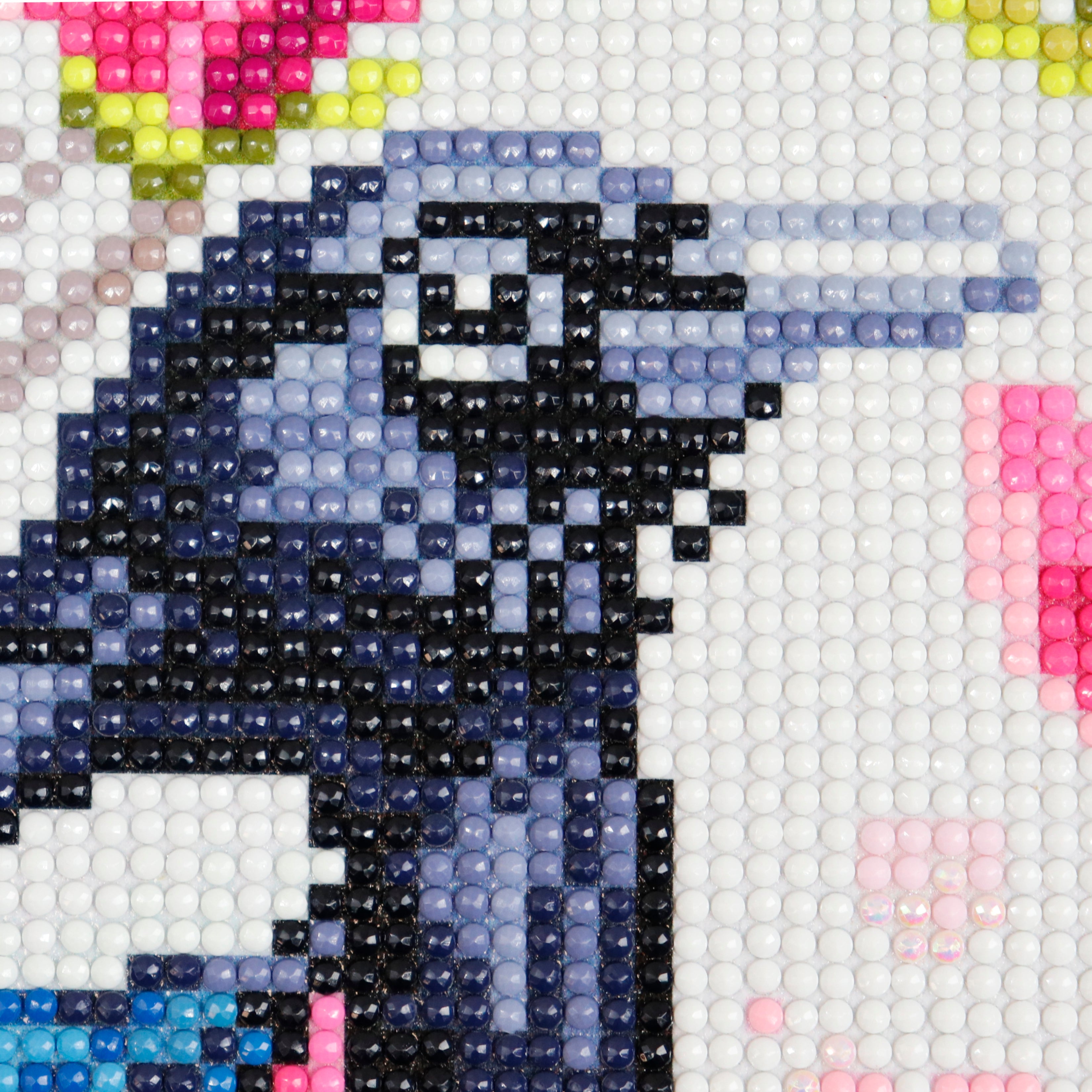 Diamond Painting - MAGPIE