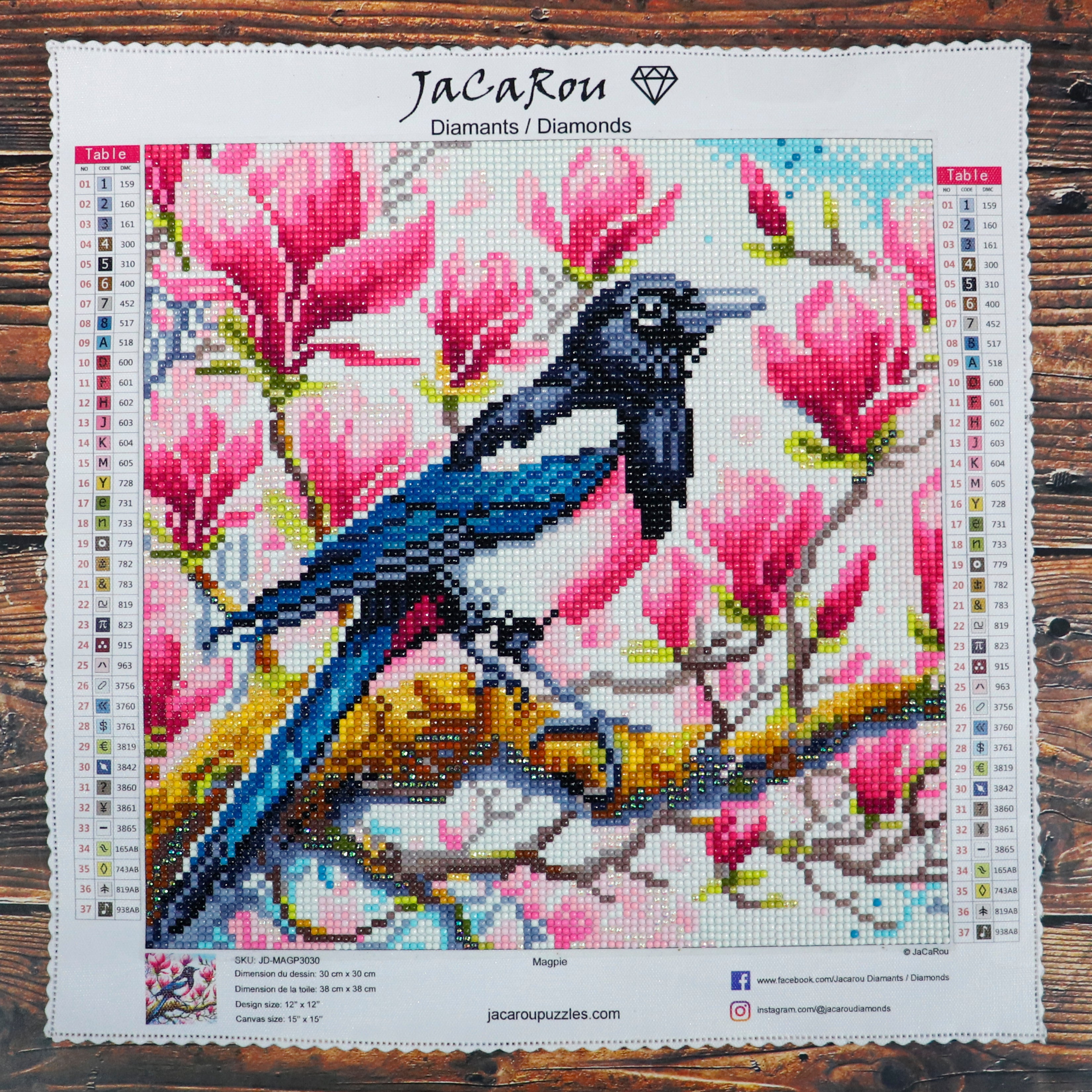 Diamond Painting - MAGPIE