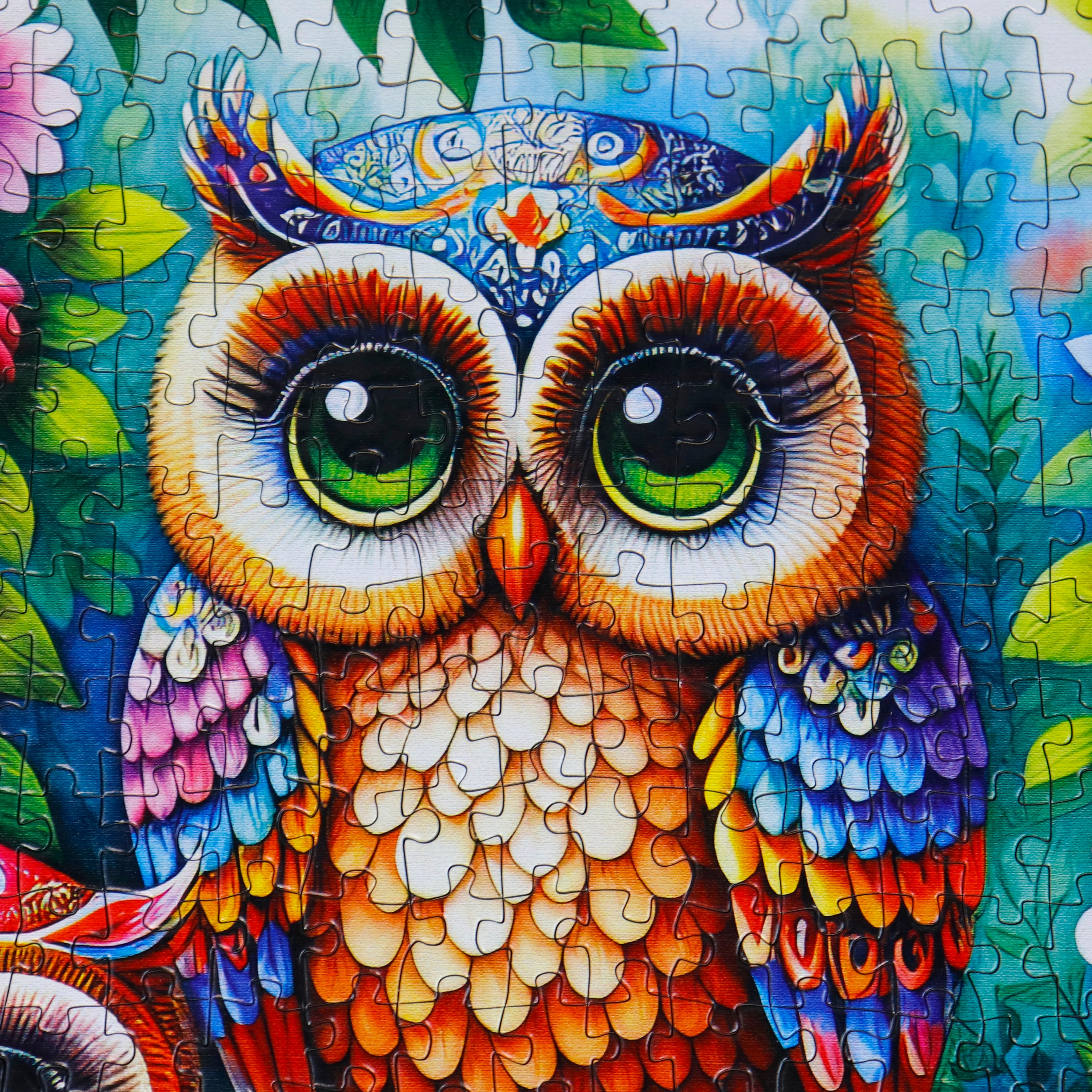 Puzzle - OWL TOGETHER NOW