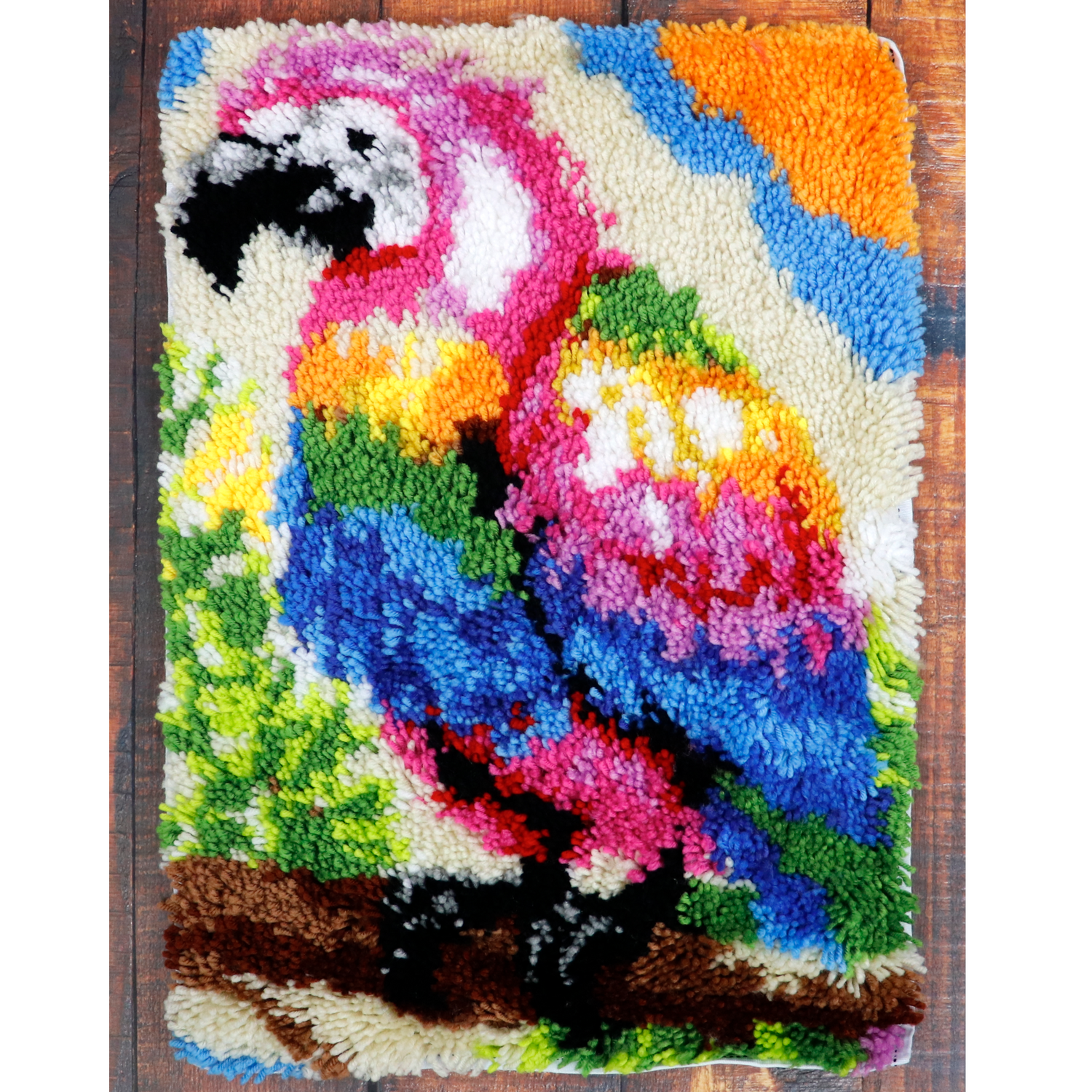 Latch Hook - Medium Rug Kit - PARROT