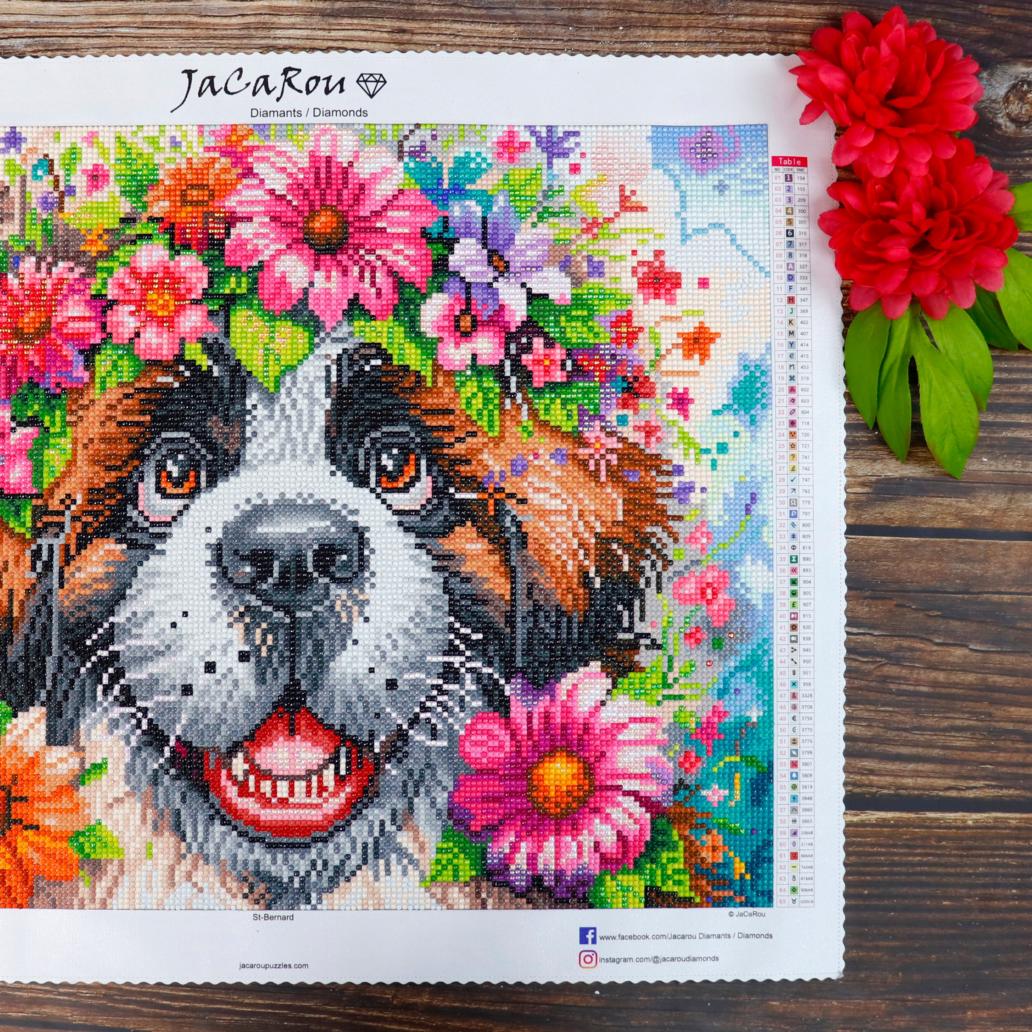 Broderie de diamant RONDS - ST-BERNARD