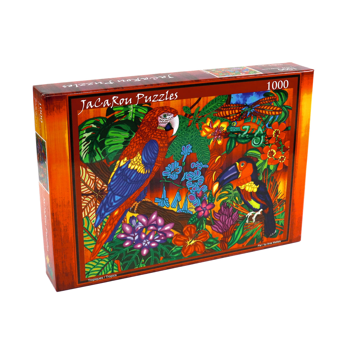 Casse-tête - TROPICS