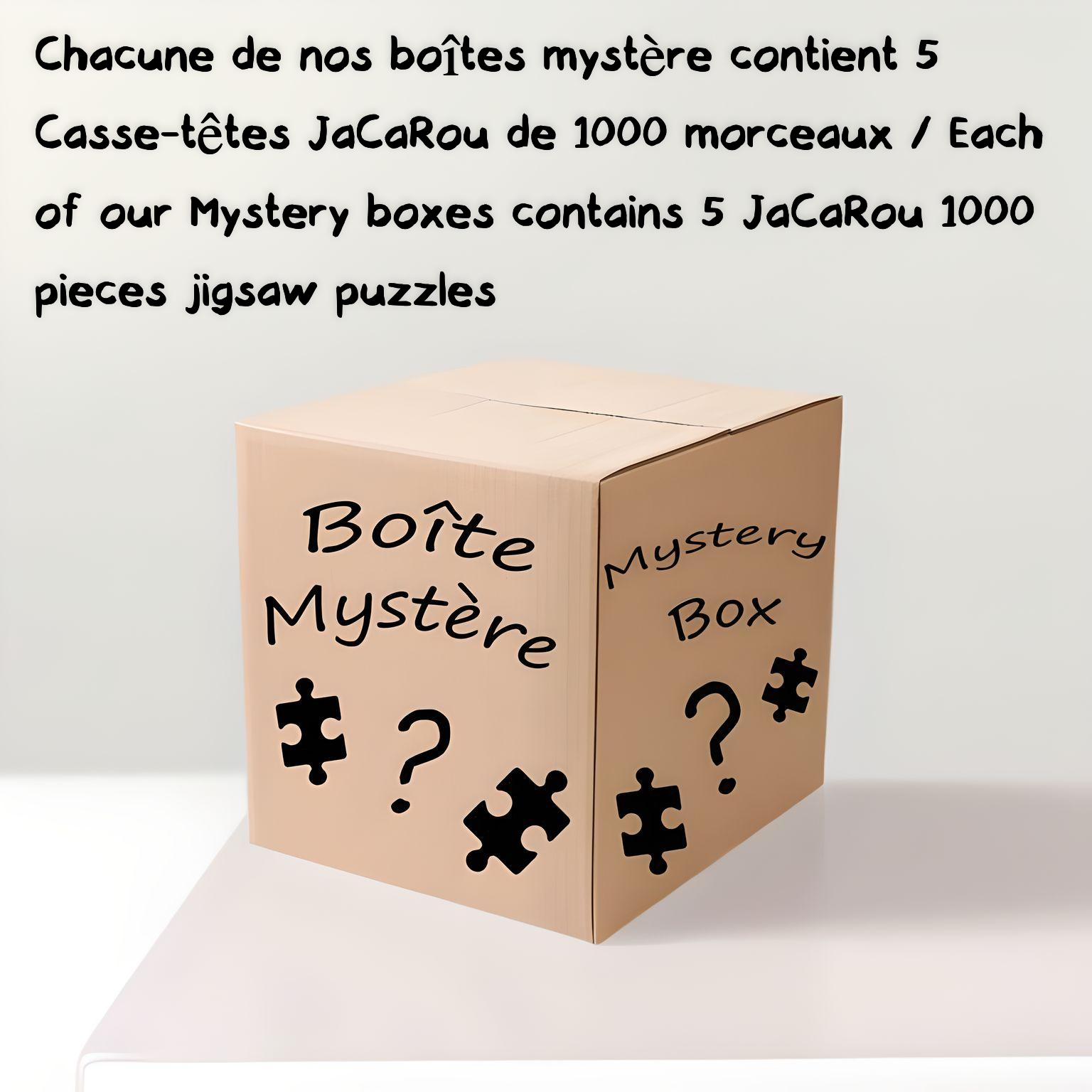 Boîte Mystère  Casse Tête Bois
