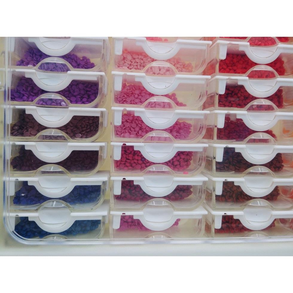 Storage Case - 78 containers