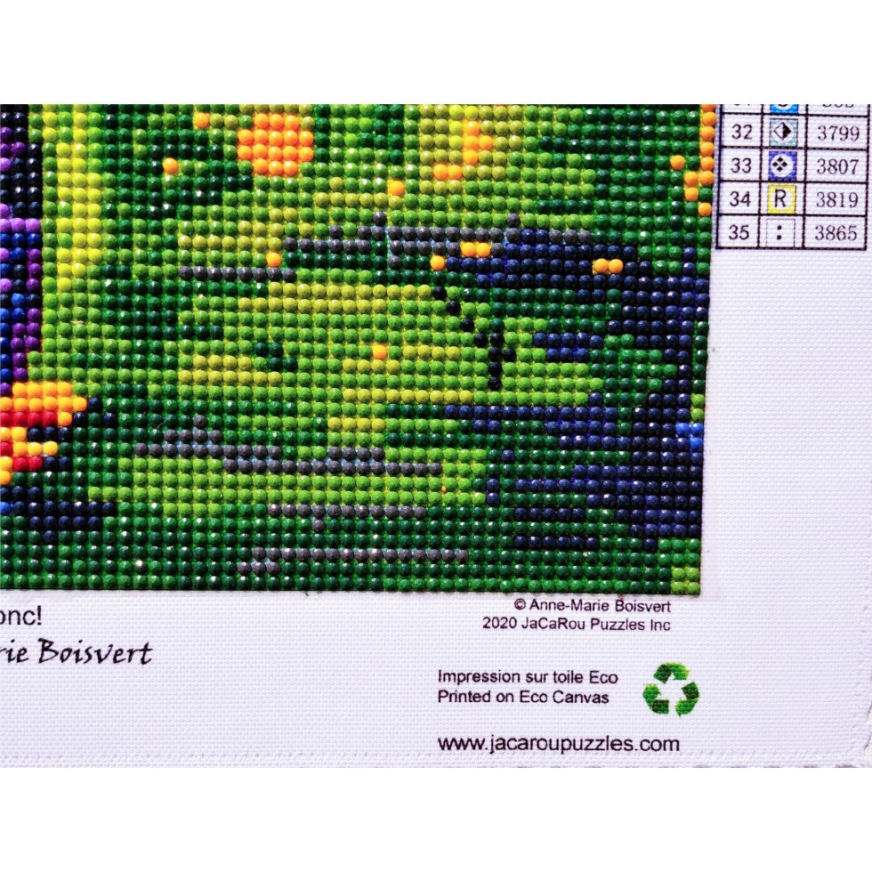 Broderie de diamants RONDS - BEN COUDONC!