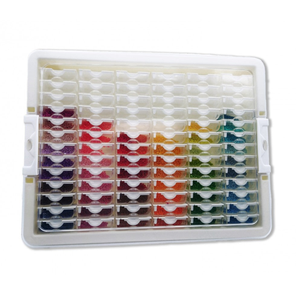 Storage Case - 78 containers