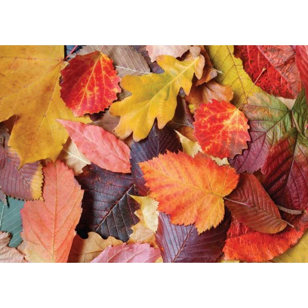 Puzzle - COLORFUL LEAVES