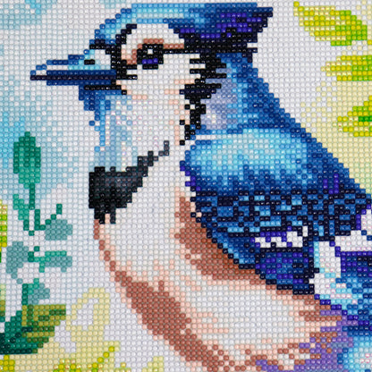 Diamond Painting -  BLUE JAY ELEGANCE