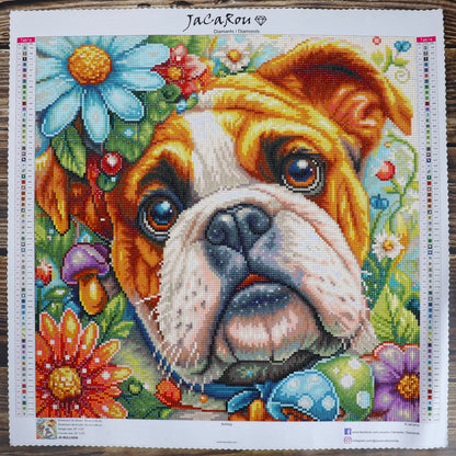 Diamond Painting -  BULLDOG