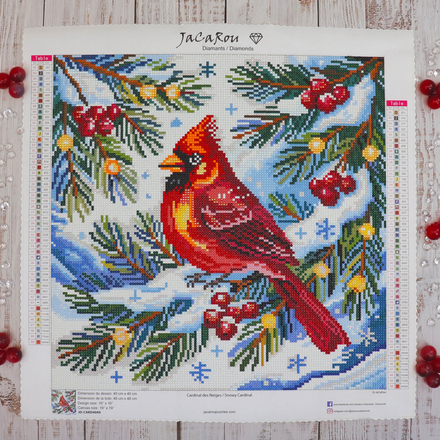 Broderie de diamant RONDS - CARDINAL DES NEIGES