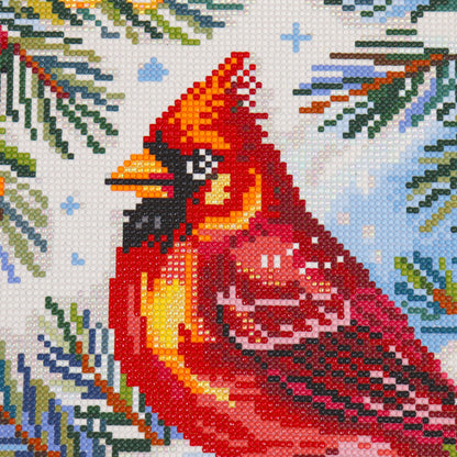 Broderie de diamant RONDS - CARDINAL DES NEIGES