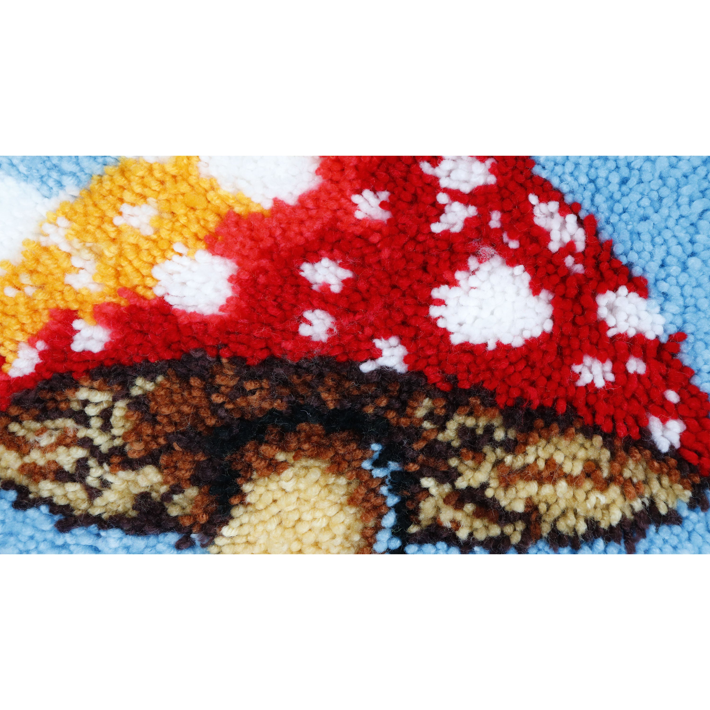 Latch Hook - Large Rug Kit - MUSHROOMS