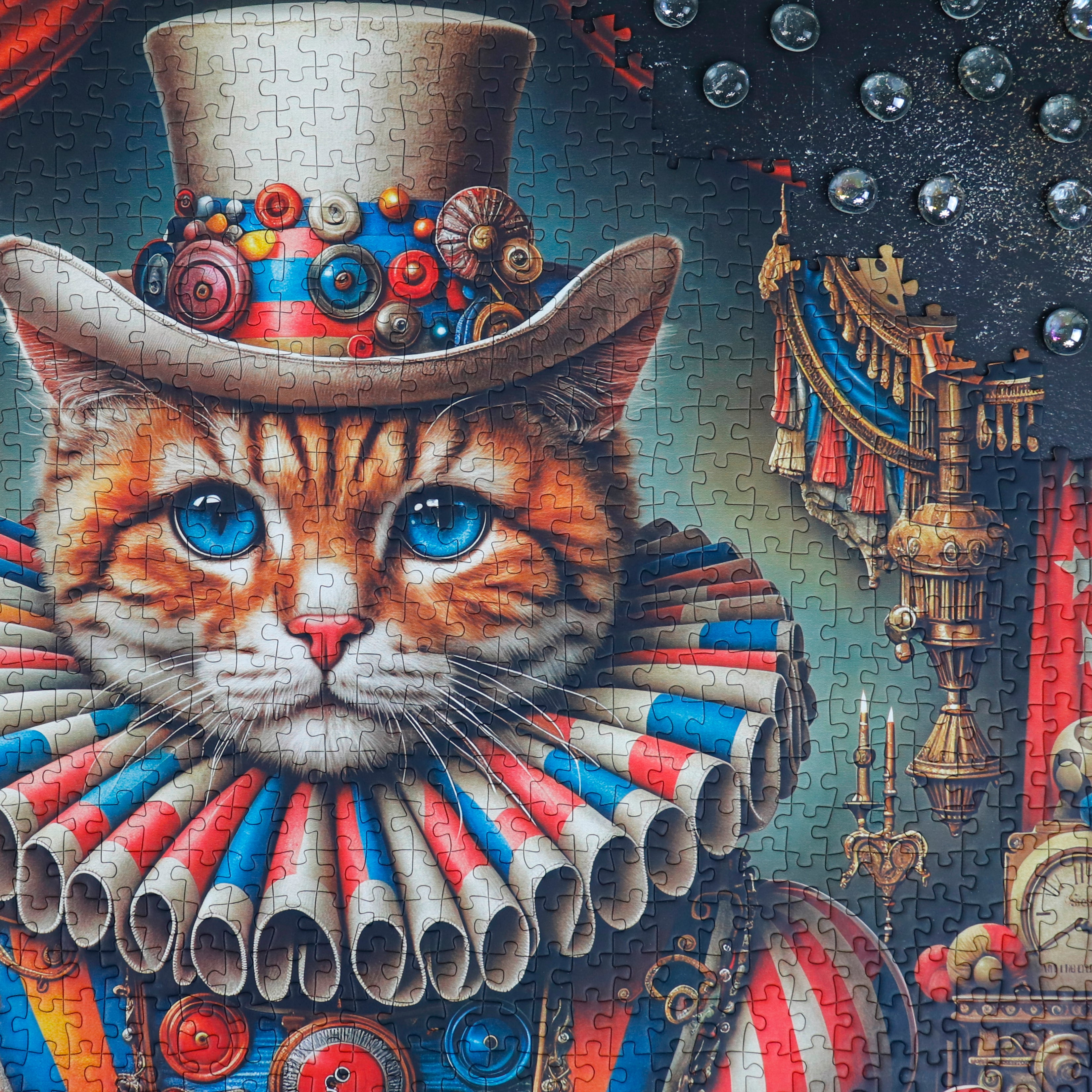 Casse-Tête - CIRCUS PURRFORMER