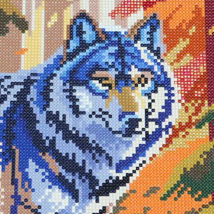 Broderie de diamants RONDS - MARCHEUR DES BOIS