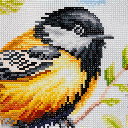 Diamond Painting - ORIOLE