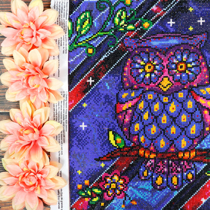 Broderie de diamants RONDS - HIBOU