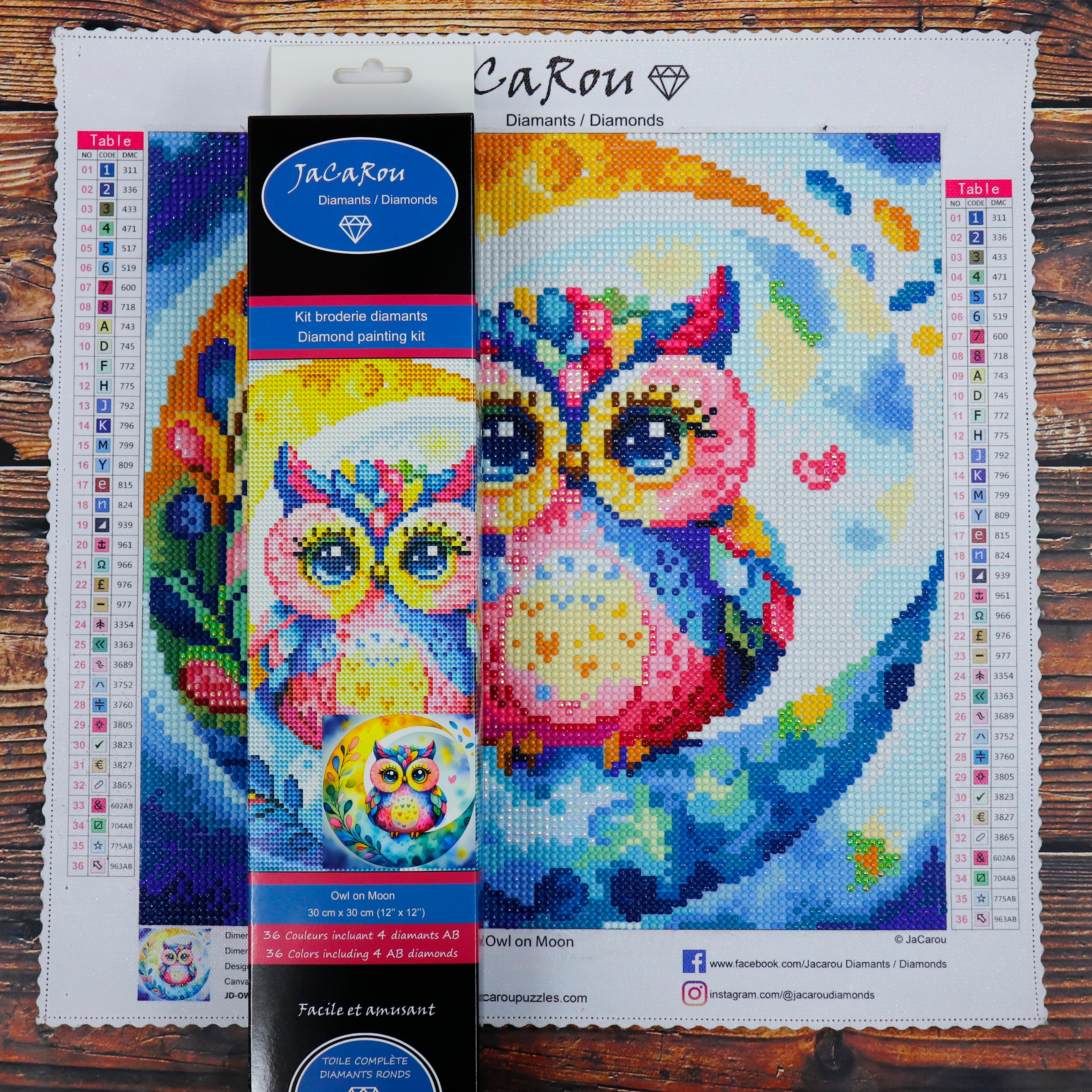 Diamond Painting - OWL ON MOON