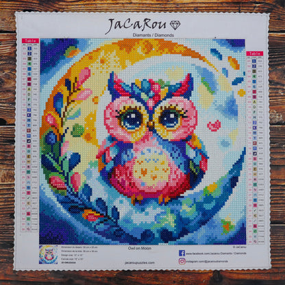 Diamond Painting - OWL ON MOON