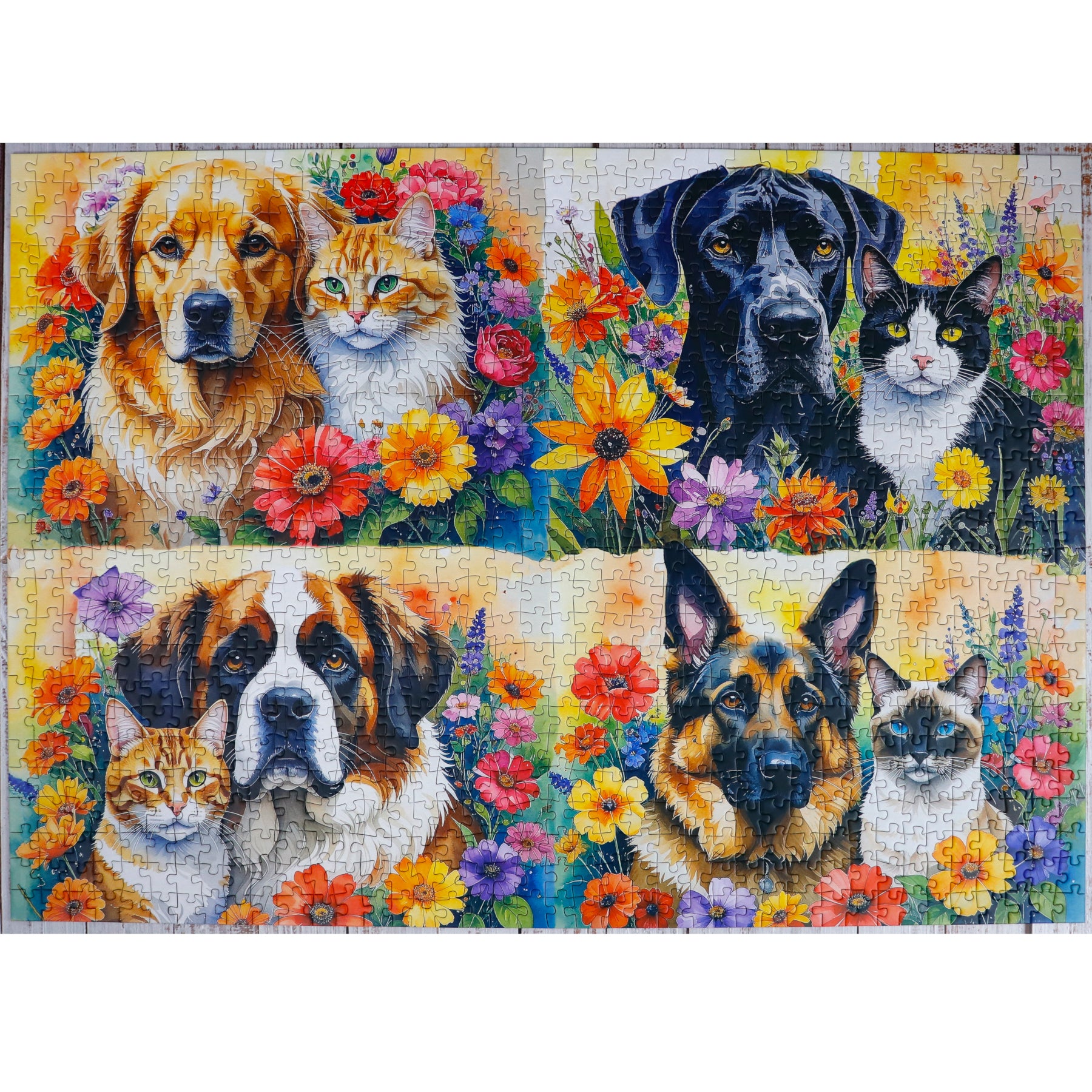 Puzzle - PAW-FECT PAIRS
