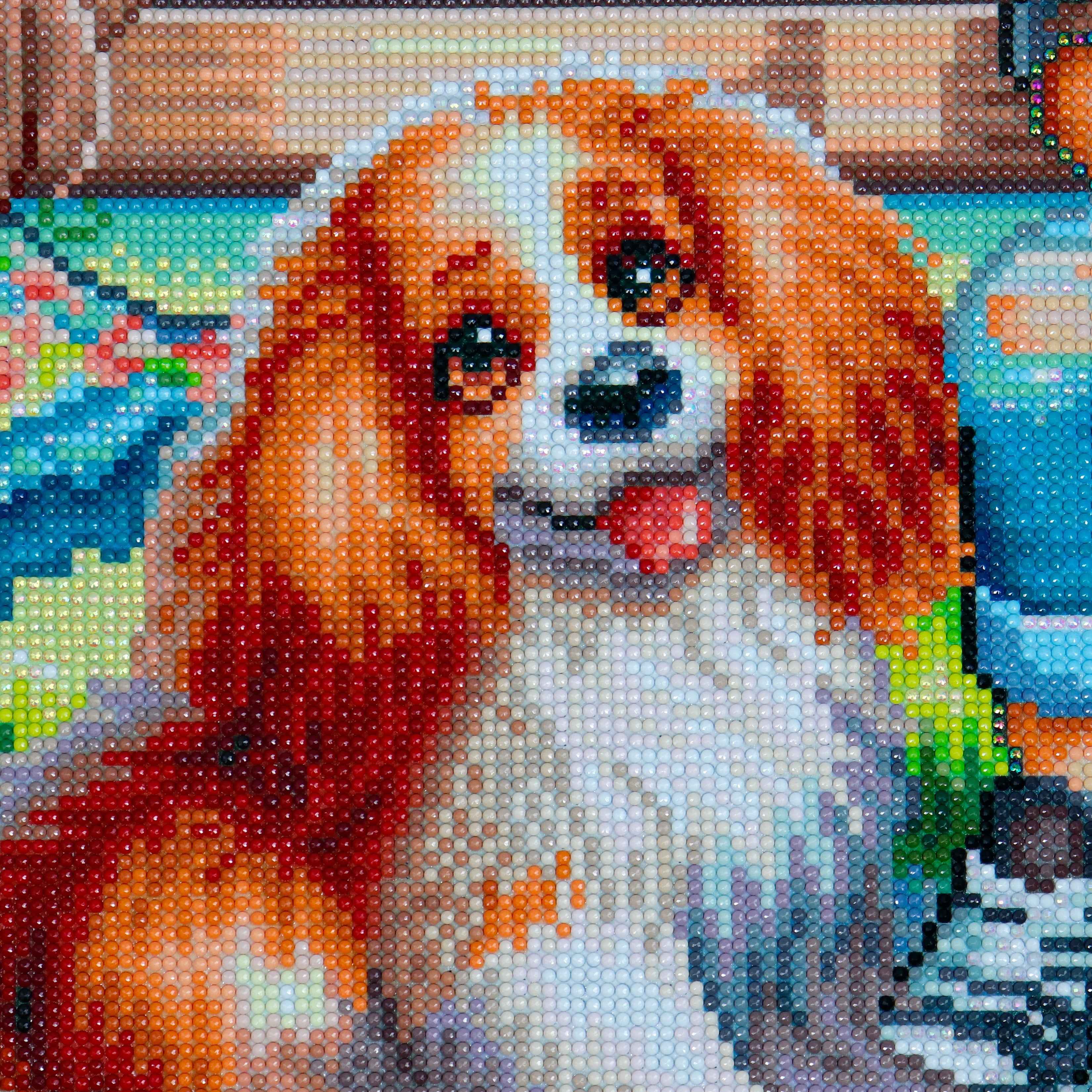 Broderie de diamants RONDS - SUMMER PARK COMPANION